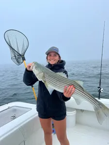 Striped bass caught while fishing in MA