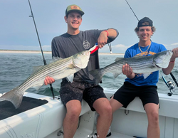 Two striped bass caught in MA