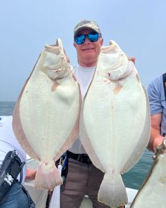 Two summer flounder fish caught by one person in MA