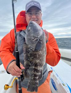 Tautog fish caught in MA