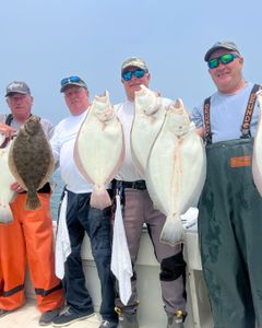 Three summer and southern flounder, a 28-inch catch in MA