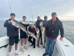 Three huge striped bass caught fishing in Yarmouth