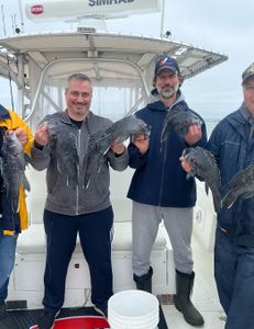 Two sea bass caught while fishing in MA