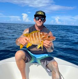 Person fishing in PR with a 17-inch fish