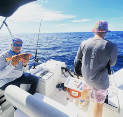 Red hind grouper action under sunny skies
