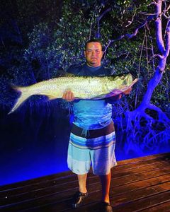 Tarpon, a large fish caught while fishing in Cabo Rojo