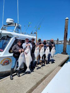 Halibut in Oregon