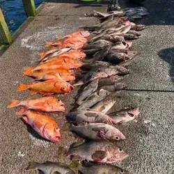 5 fishing in Roseburg