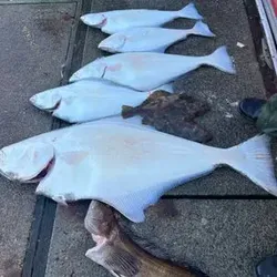 Four fish caught fishing in OR