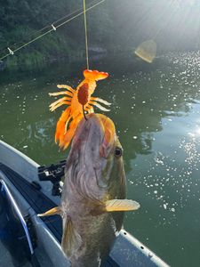 A fishing tour in OR
