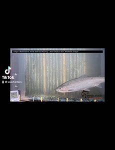 Scenic view of fishing in OR