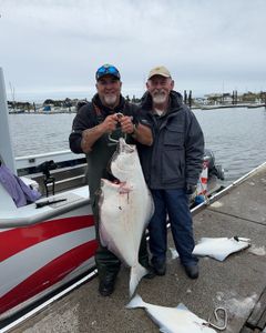 Huge Pacific Halibut caught during fishing tour in OR