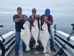 Pacific Halibut