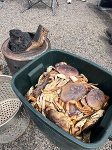 Scenic view of Oregon landscape