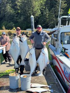 Four Pacific Halibut, a big catch in Roseburg