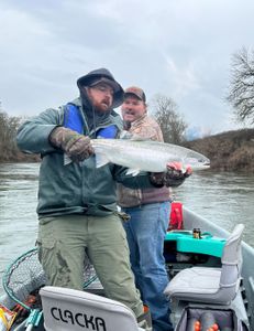 Angler reels in a rainbow trout in Roseburg