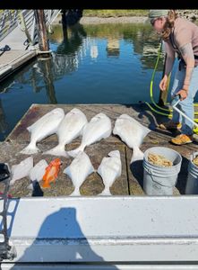 Angler with a large 21-inch fish in Roseburg, enjoying fishing tours