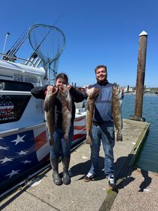 Three big fish caught during fishing tours in Roseburg