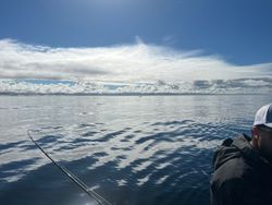 Scenic landscape of the OR region