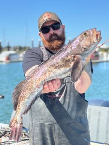 Angler with a 31-inch fish in OR