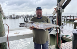 Fisherman holding a large king mackerel fish in AL.