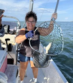 Fish caught in landing net on fishing boat in Fort Morgan Alabama waters