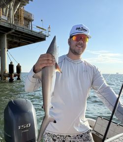 Blacktip shark caught while fishing in Fort Morgan AL waters near pier structure