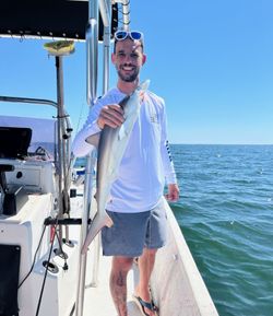 Blacktip shark caught during fishing trip in Fort Morgan Alabama