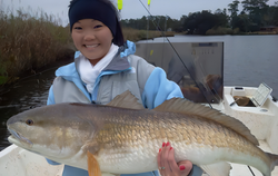 Redfish caught by angler at Fort Morgan