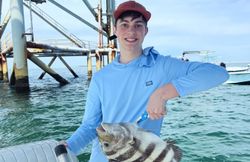 Sheepshead fish caught while fishing at Fort Morgan