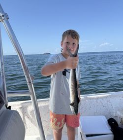 Angler with a Spanish Mackerel catch at Fort Morgan