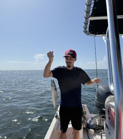 Spanish Mackerel caught while fishing in Fort Morgan