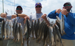 4 freshwater fish caught while fishing in Alabama