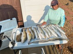 7 redfish caught fishing in TX