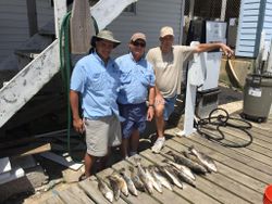 Three anglers fishing in Galveston