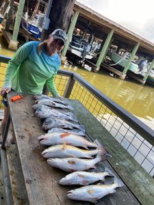 Four fish caught in Galveston while fishing