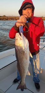 Redfish caught in TX
