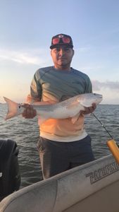 Redfish caught in Galveston with fishing equipment