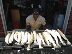 8 fish caught while fishing in TX