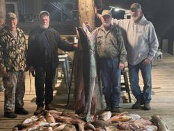 bowfishing Grand Isle Louisiana