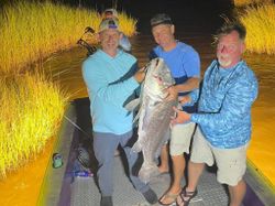 Bowfishing Grand Isle