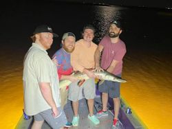 Grand Isle Fishing for Gar