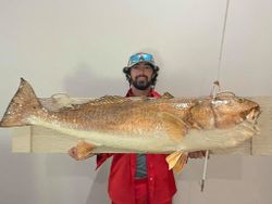 Trophy Redfish 