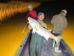 Bowfishing Grand Isle