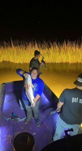 Group Fishing for Fluke in Grand Isle