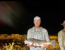 Redfish in Louisiana 