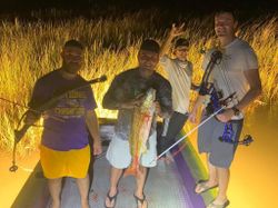 nightime bowfishing