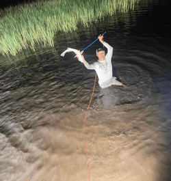 Grand Isle Bowfishing 