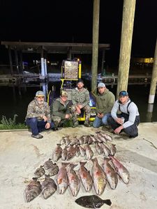 Redfish is thriving here in South Louisiana!