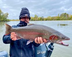A rainbow trout caught in Mysore while fishing